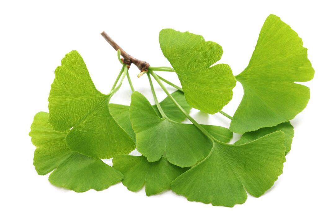 ginko biloba drops Alcozar